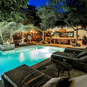 Vida ***** Tulum
